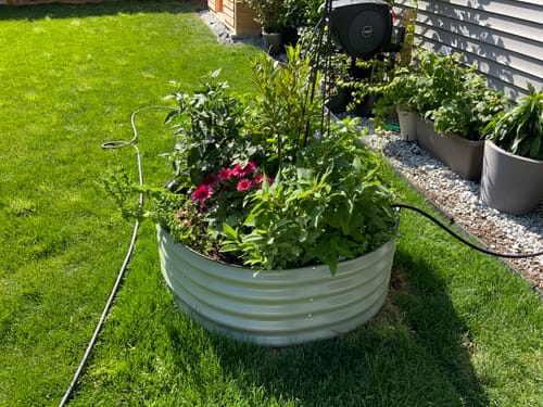 Customer photo review of 17” Tall Large Round