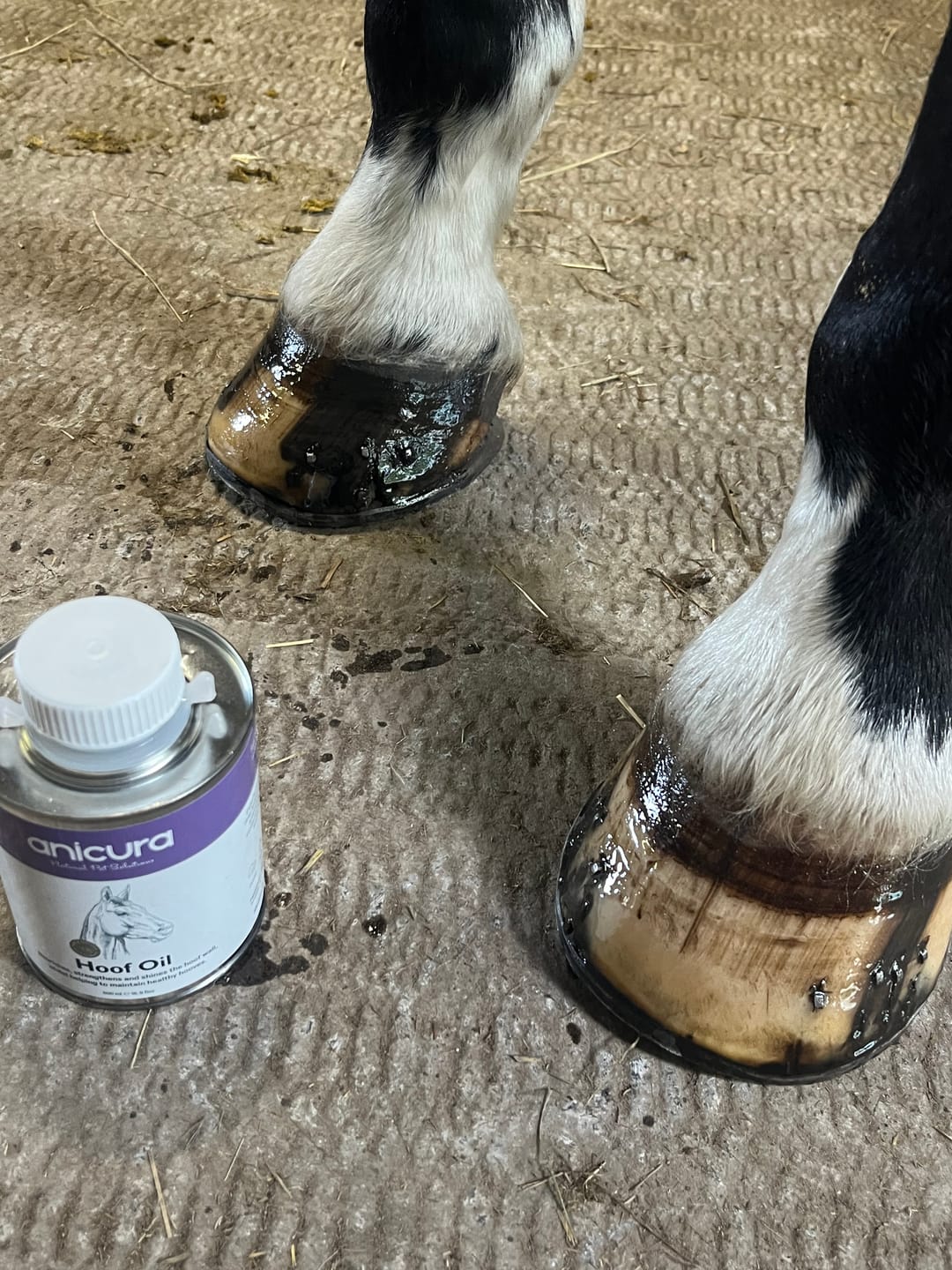 Customer photo review of Hoof Oil