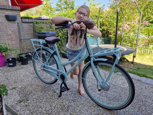 Customer photo review of E-Cargo N3