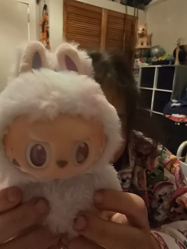Customer photo review of Pop Mart Labubu The Monsters Big into Energy Series Vinyl Plush Pendant Single Blind Box