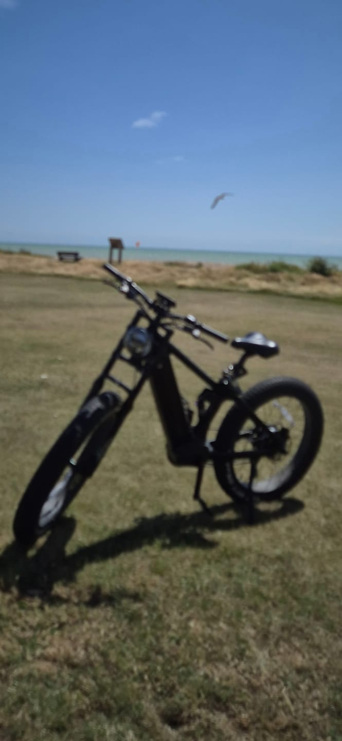 Customer photo review of T7 / T7PRO Full Suspension Mountain E-bike