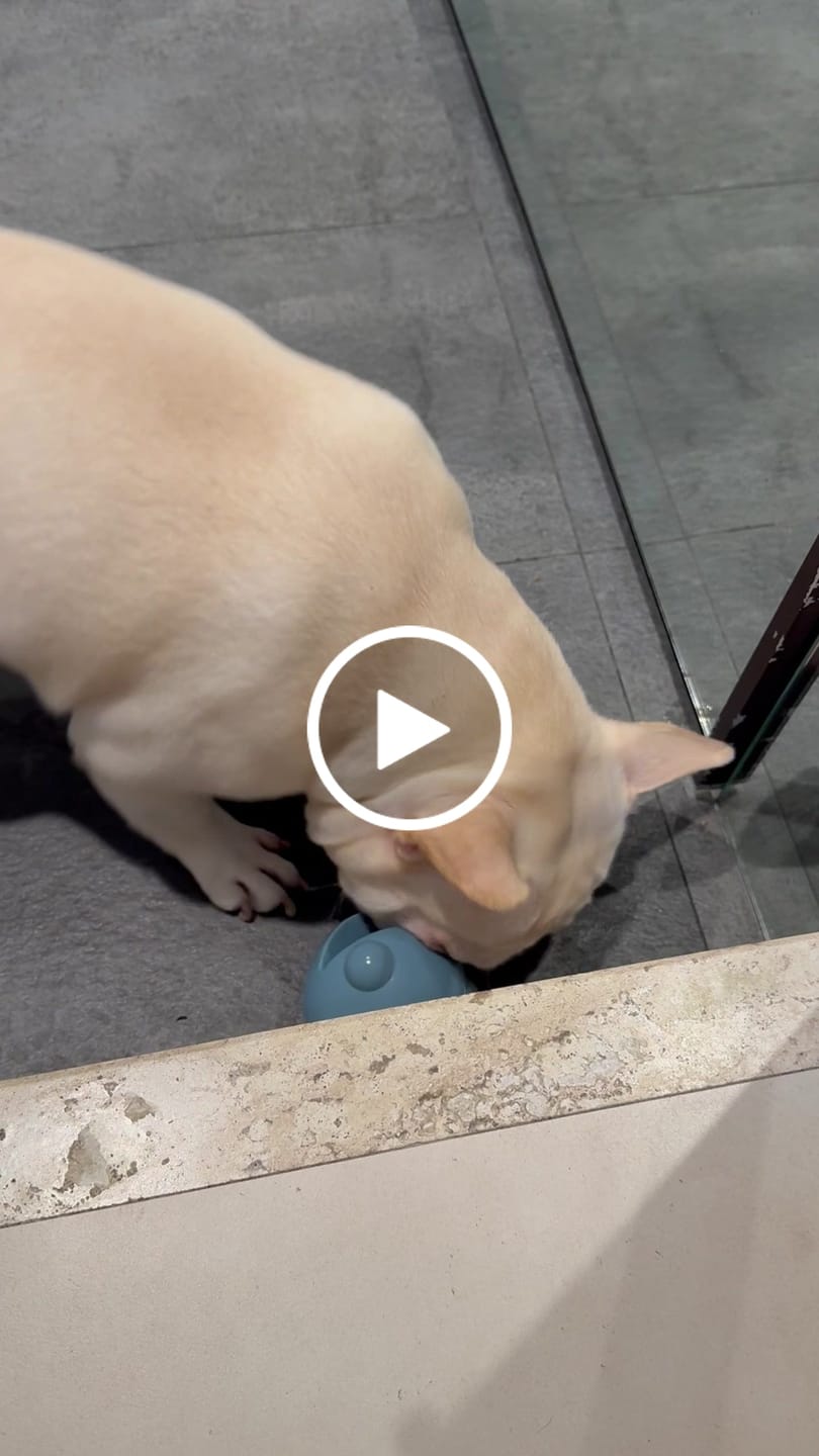 Customer video review of Gae-ko Ball