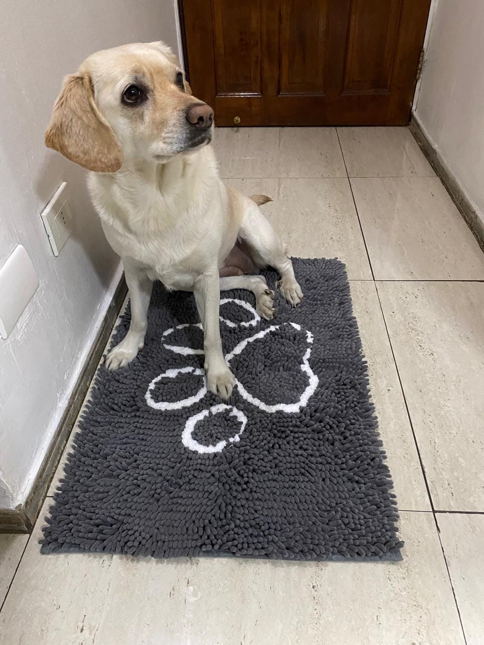 Customer photo review of Tapete Cero Suciedad THE DOGS