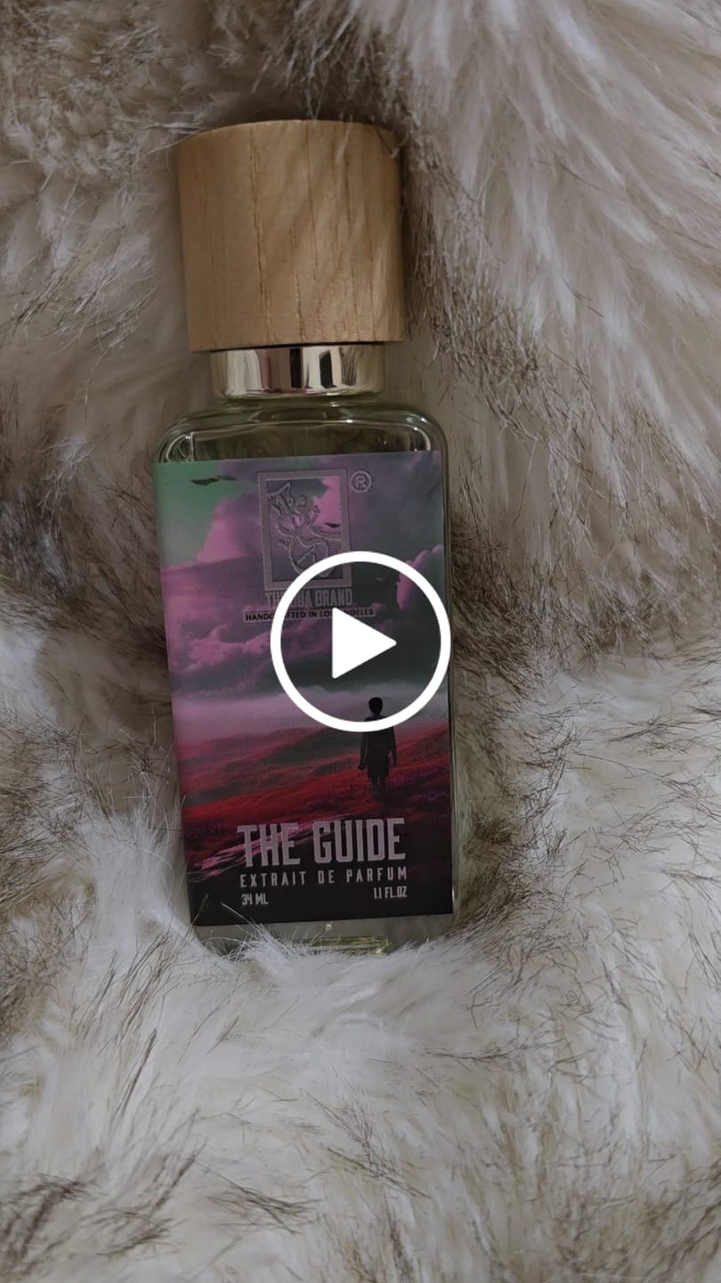 Customer video review of The Guide