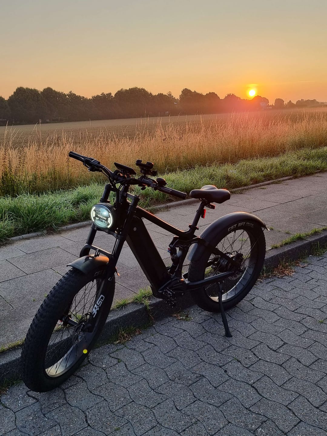 Customer photo review of T7 Full Suspension Mountain E-bike