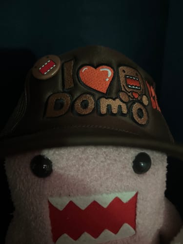 Customer photo review of I HEART DOMO HAT