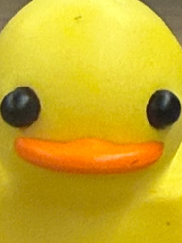 Customer photo review of Quackey - Fidget Toy that Quacks!