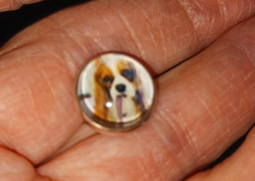 Customer photo review of Live Customization Glass Pet Stud Earrings