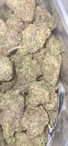 Customer photo review of Mochi