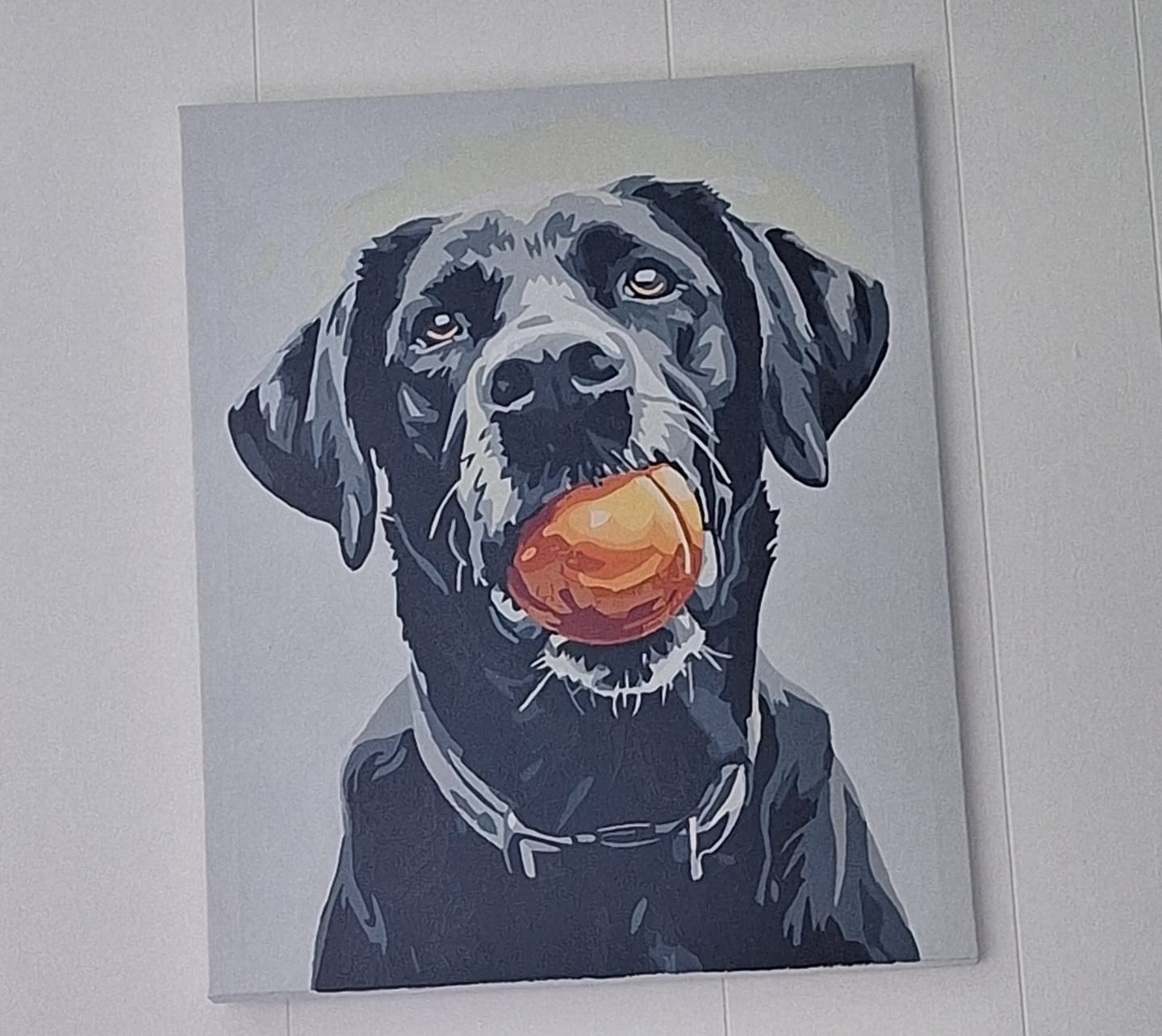 Customer photo review of Play Time