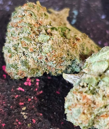 Customer photo review of THCA Queen