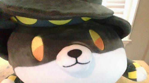 Customer photo review of N Dog Plush