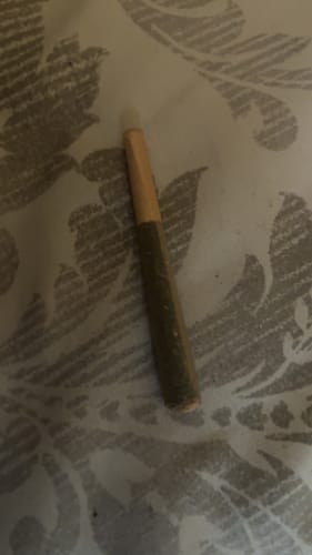 Customer photo review of 1 Gram Pre-Roll (Sativa)