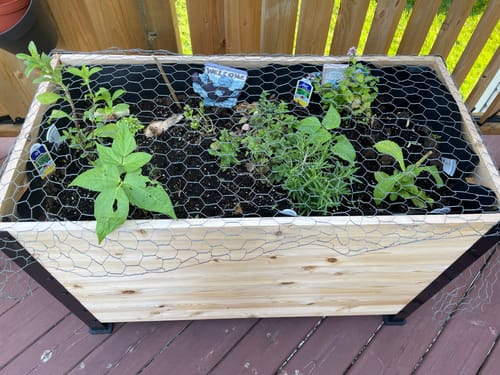Customer photo review of 18" x 36" Planter Box - 24" TALL