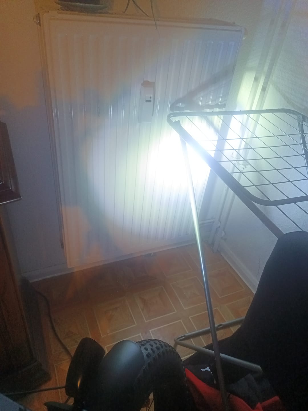 Customer photo review of Z20 PLUS Electric Headlight