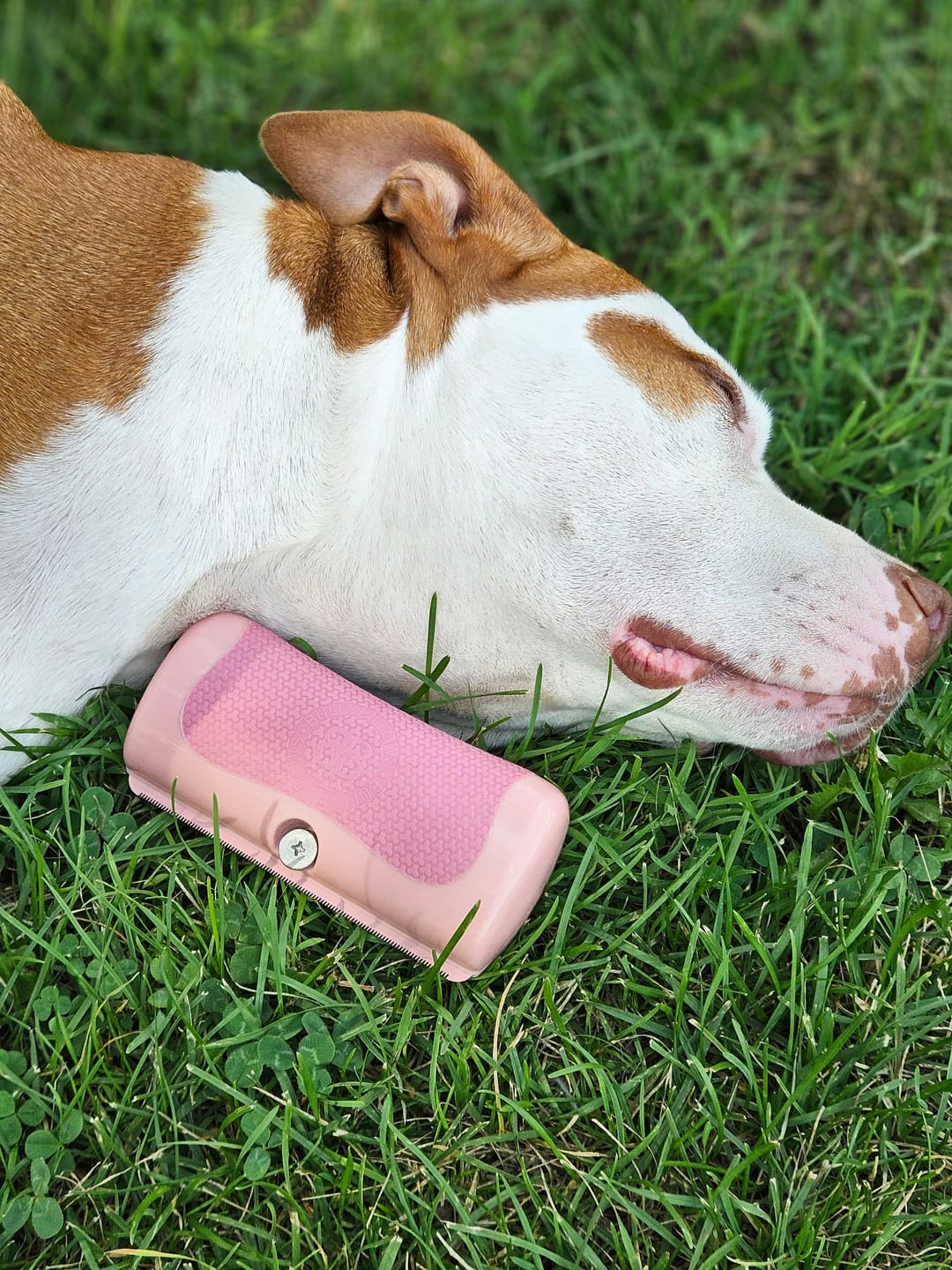 Customer photo review of Dog Deshedding Comb - Dog, Horse & Cat - Pink
