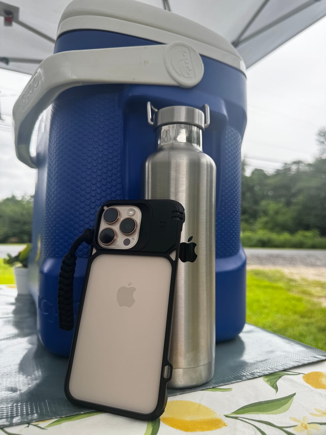 Customer photo review of DANGO COVERT CASE FOR IPHONE 16 PRO MAX