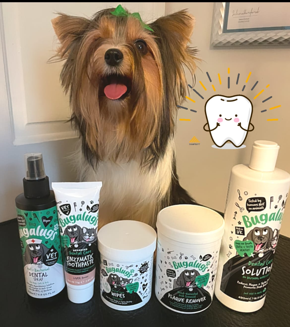 Customer photo review of Anti-Bacterial Dental Spray for Dogs, Cats & Pets