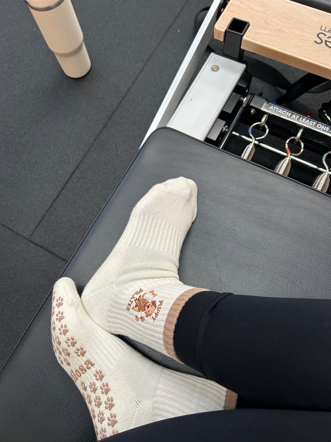 Customer photo review of Puppy Pilates