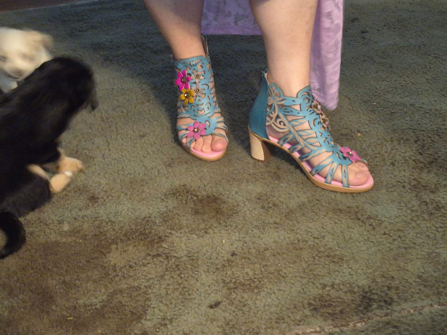 Customer photo review of Blooming Vine Romantic Cutout Sandals