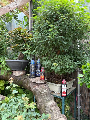 Customer photo review of CURA TOTALE PACK