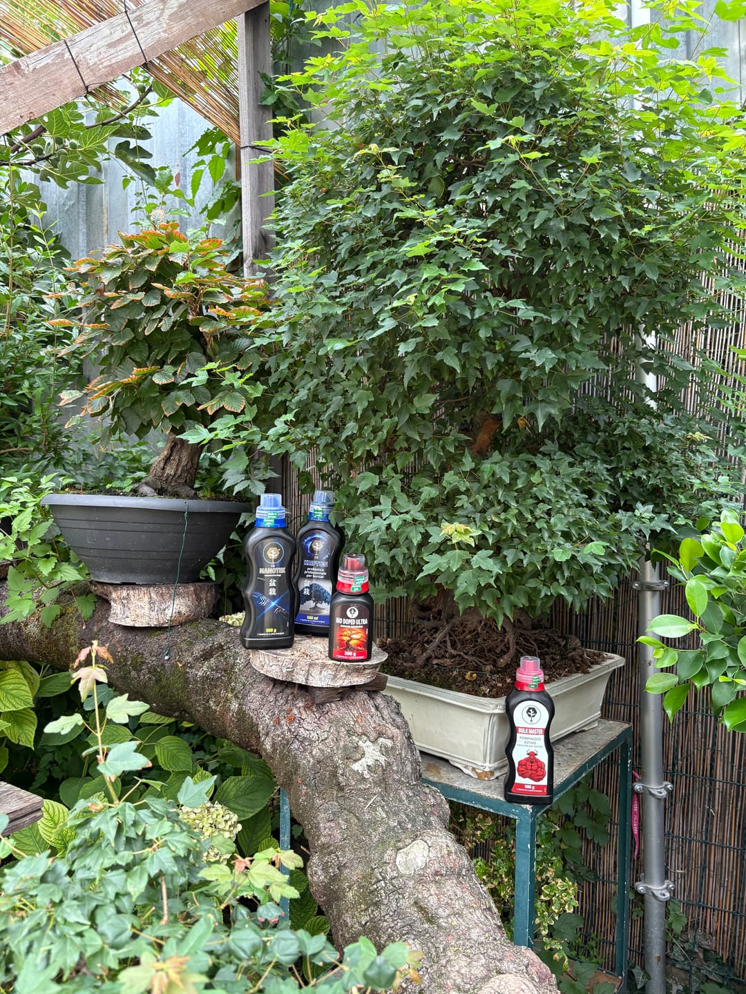 Customer photo review of CURA TOTALE PACK