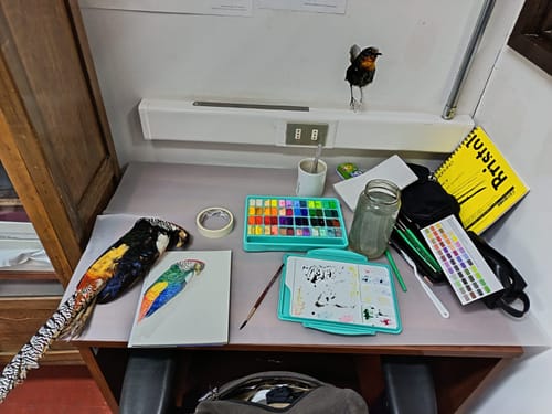 Customer photo review of Himi - Spray Protector Antihongos e Hidratador Para Gouache y Acrílicos