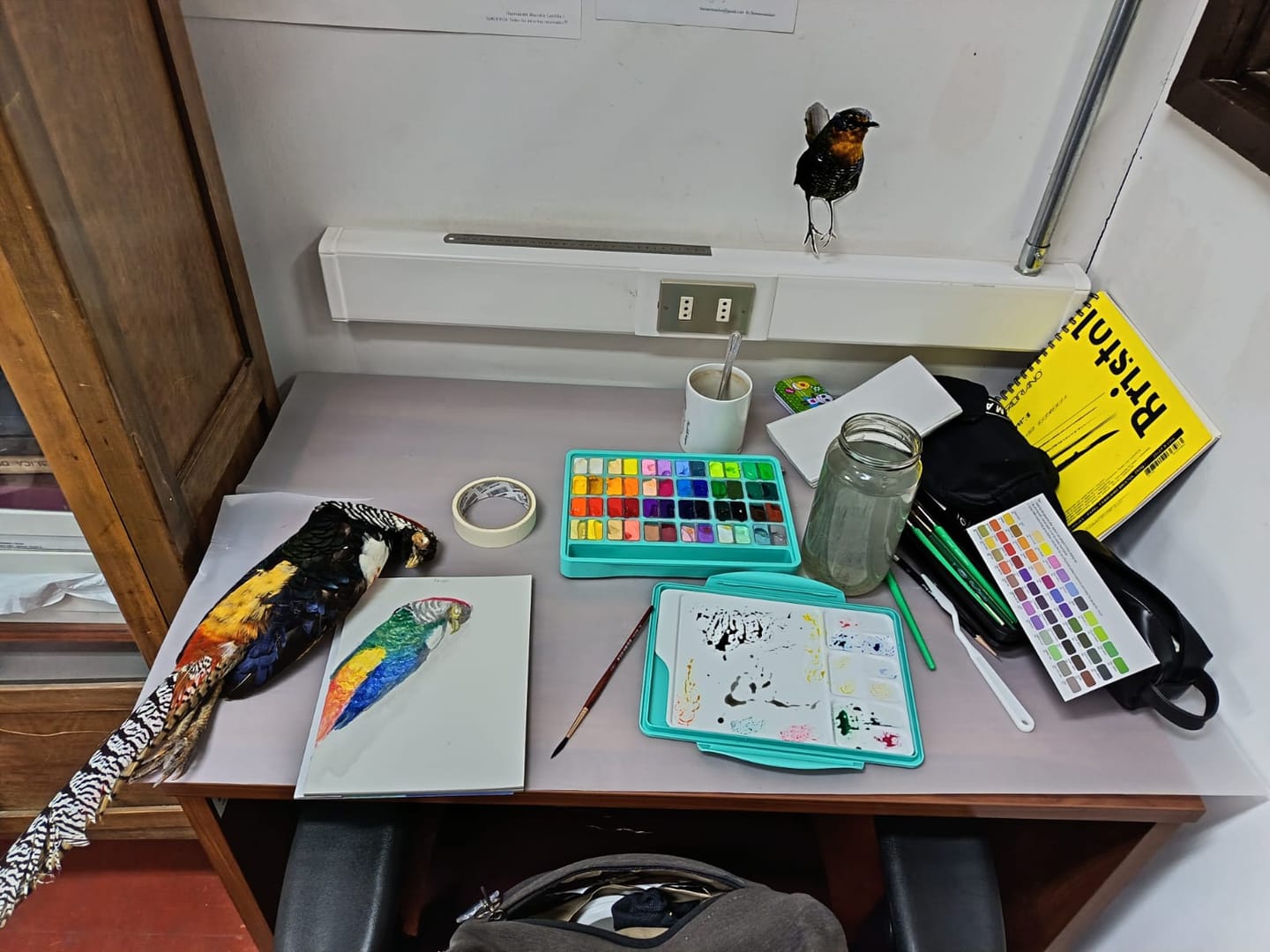 Customer photo review of Himi - Spray Protector Antihongos e Hidratador Para Gouache y Acrílicos