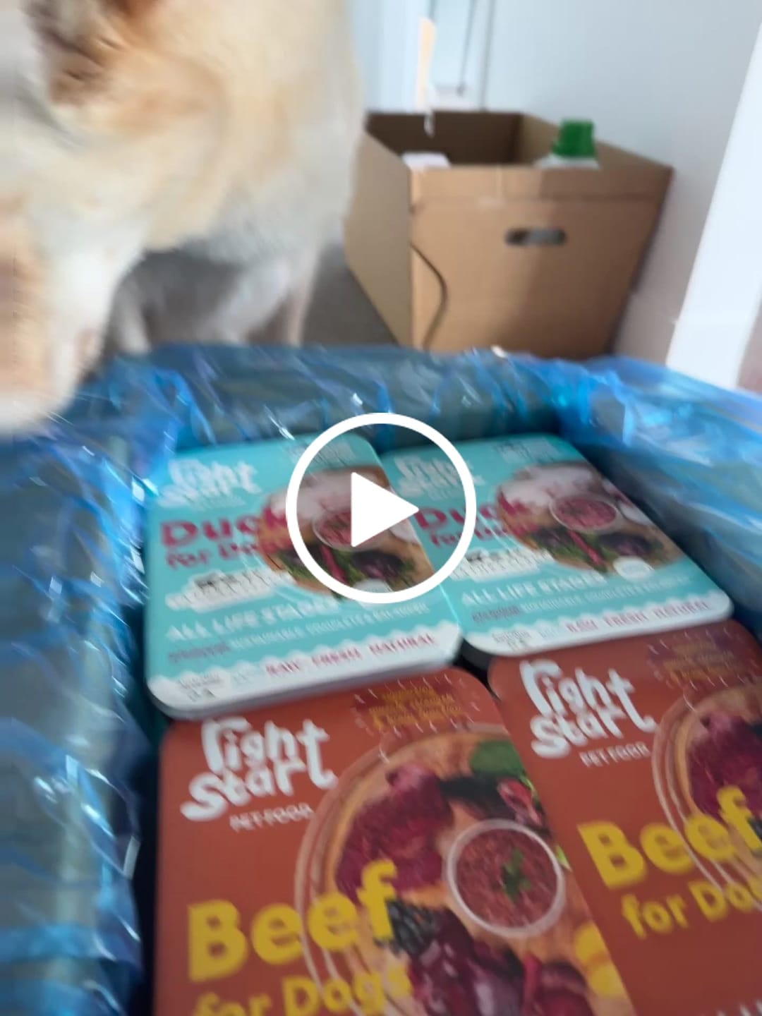 Customer video review of Variety Box for Dogs