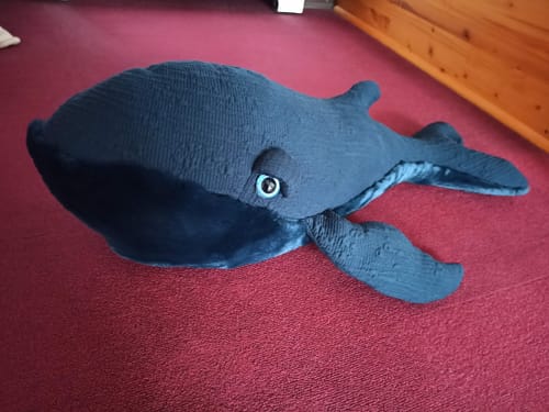 Customer photo review of The Whale