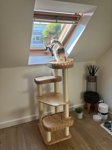 Customer photo review of Arbre à Chat - Silence Sieste