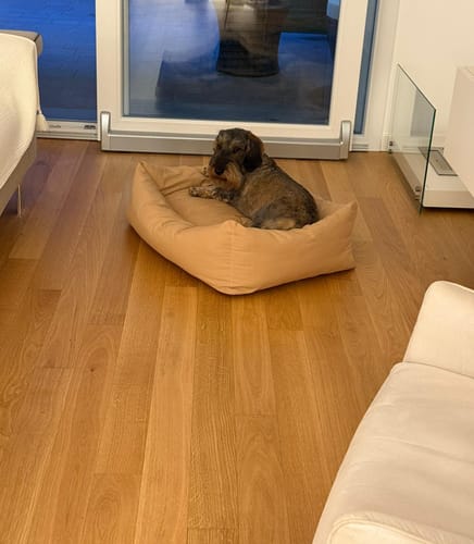 Customer photo review of Divanetto Cotone Siena Nocciola