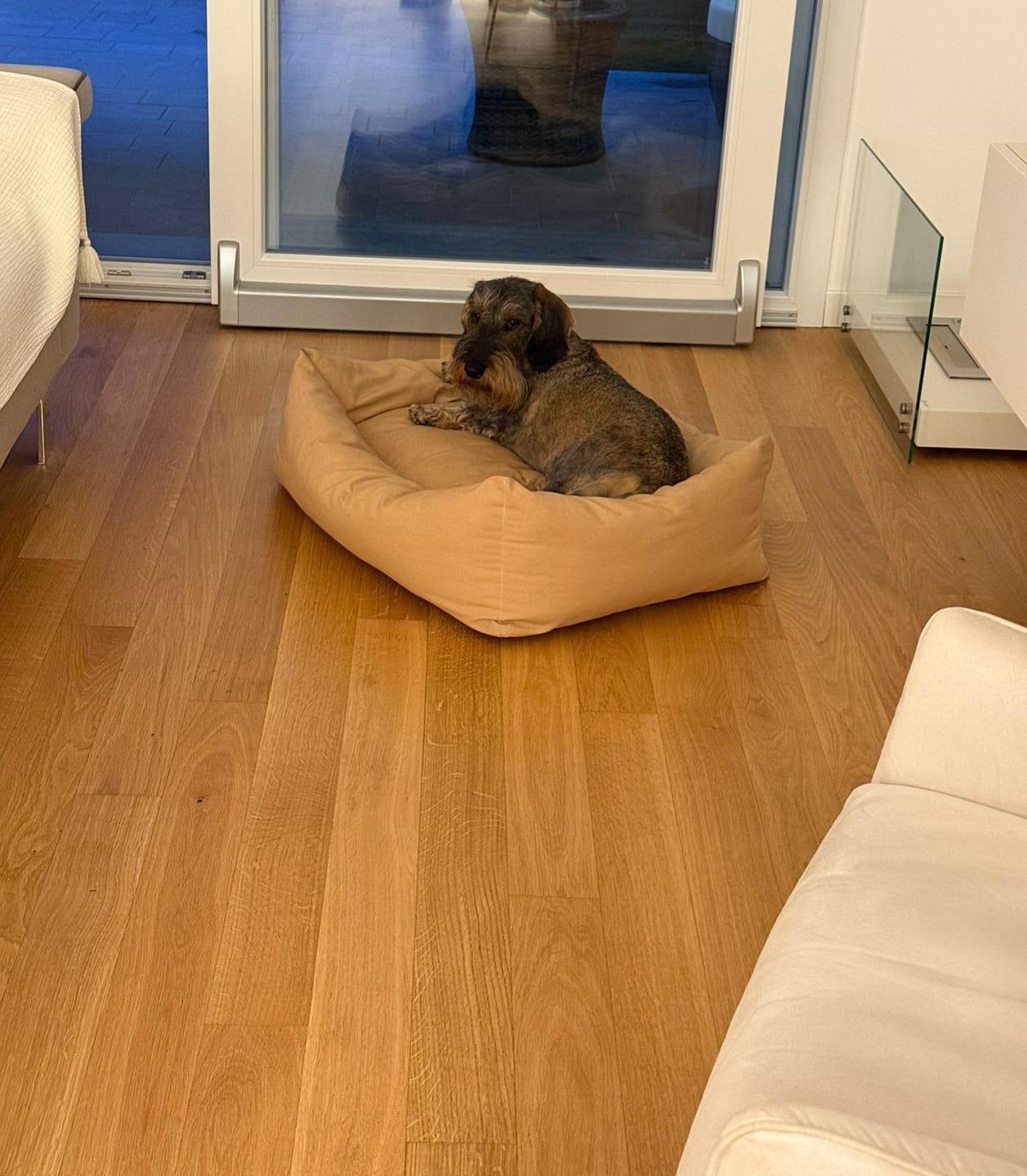 Customer photo review of Divanetto Cotone Siena Nocciola
