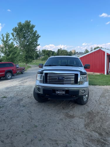 Customer photo review of Songbird B&W Vanity License Plate