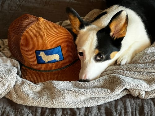 Customer photo review of Big Flat Bill Structured Mesh Hat