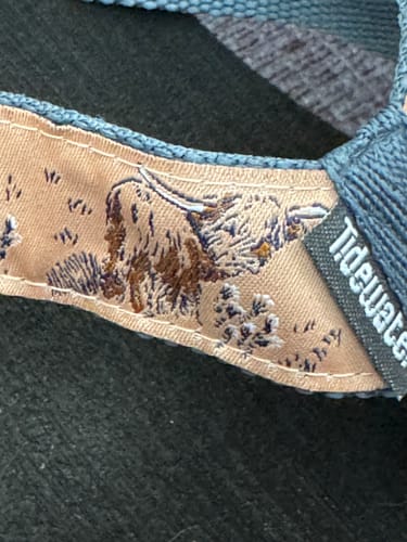 Customer photo review of Highland Cow