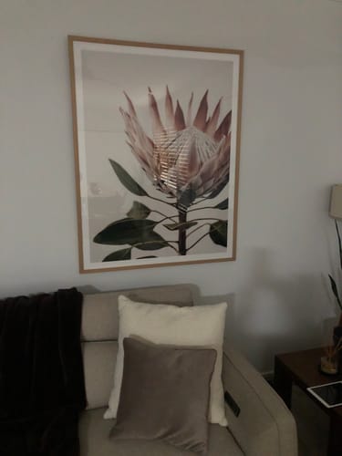 Customer photo review of Protea in Overture I Art Print