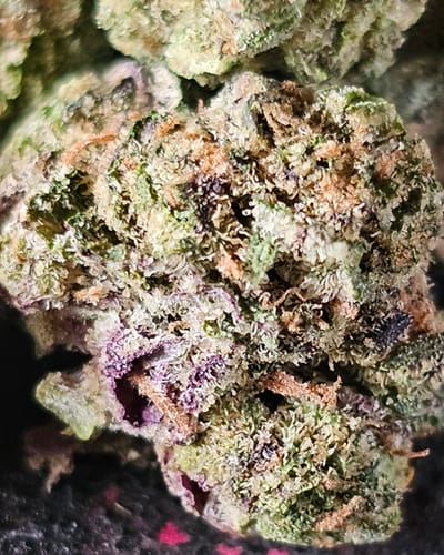 Customer photo review of Mac 1 THCA Flower