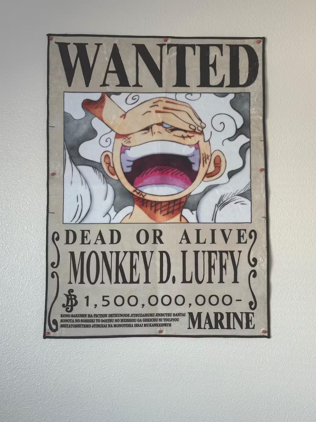 Customer photo review of Wanted Luffy Gear 5