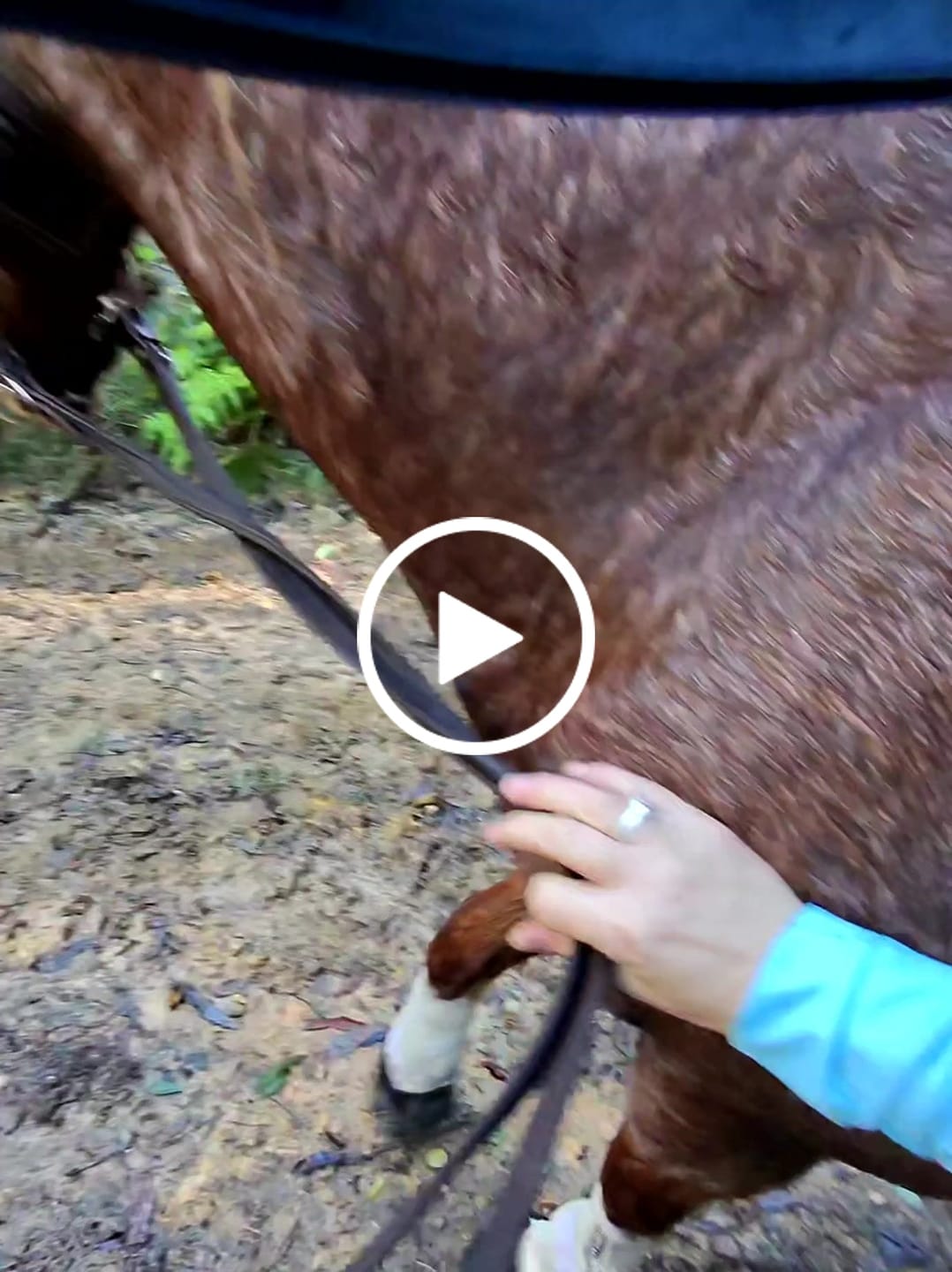 Customer video review of Renegade® Viper Shield™ Hoof Boots - Arizona Copper