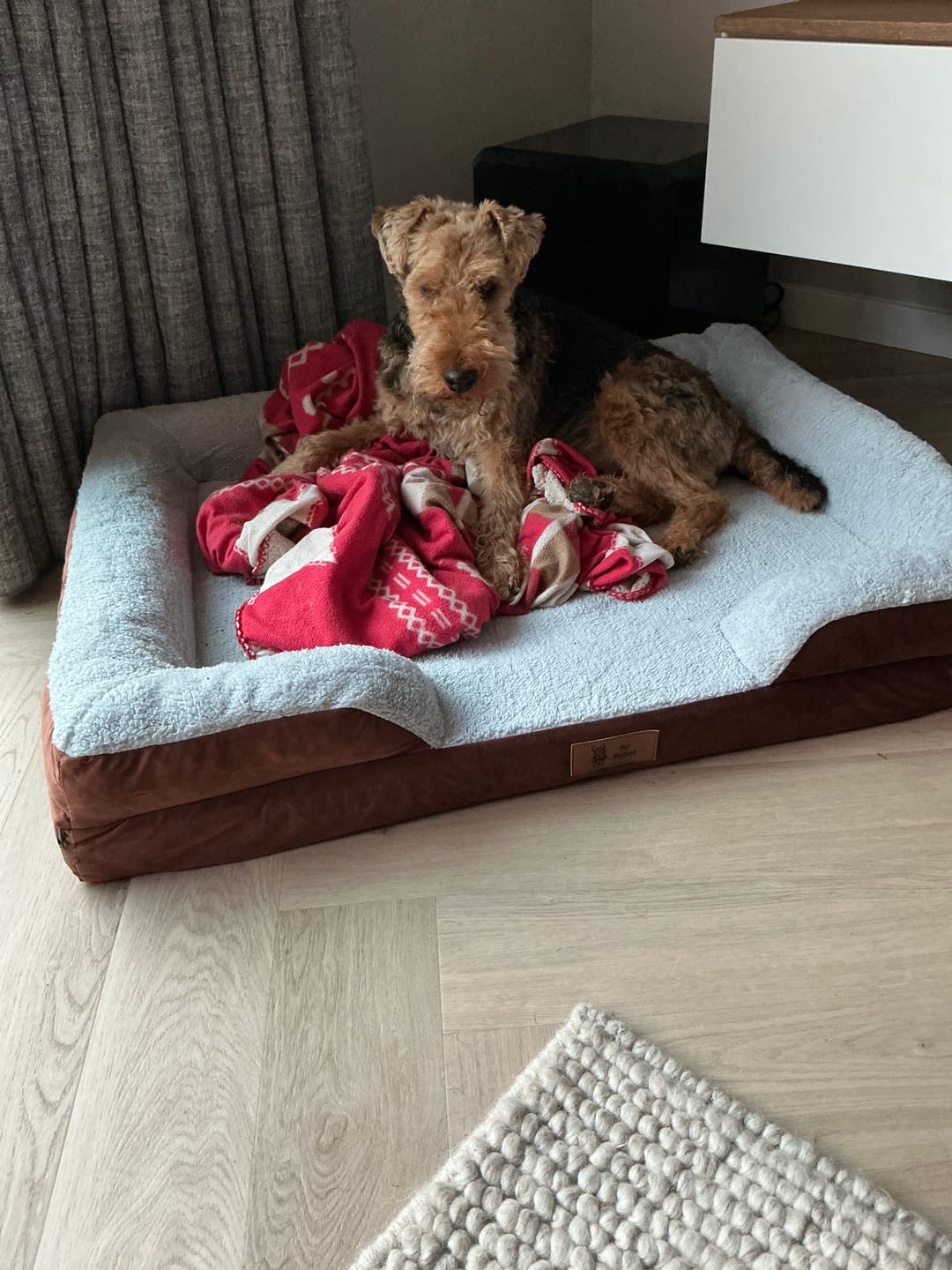 Customer photo review of Pet Perfect Orthopedische Hondenmand