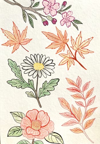 Customer photo review of Sakura Pigma Micron - Set 6 Tiralíneas Mandala 05 Colores Cálidos