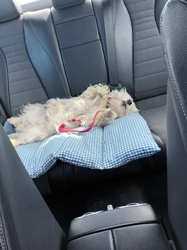 Customer photo review of Trapuntina Arrotolabile Vichy Bluette