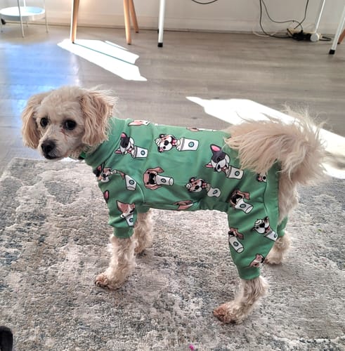 Customer photo review of Dog Pajama - Snowy Polar Bear