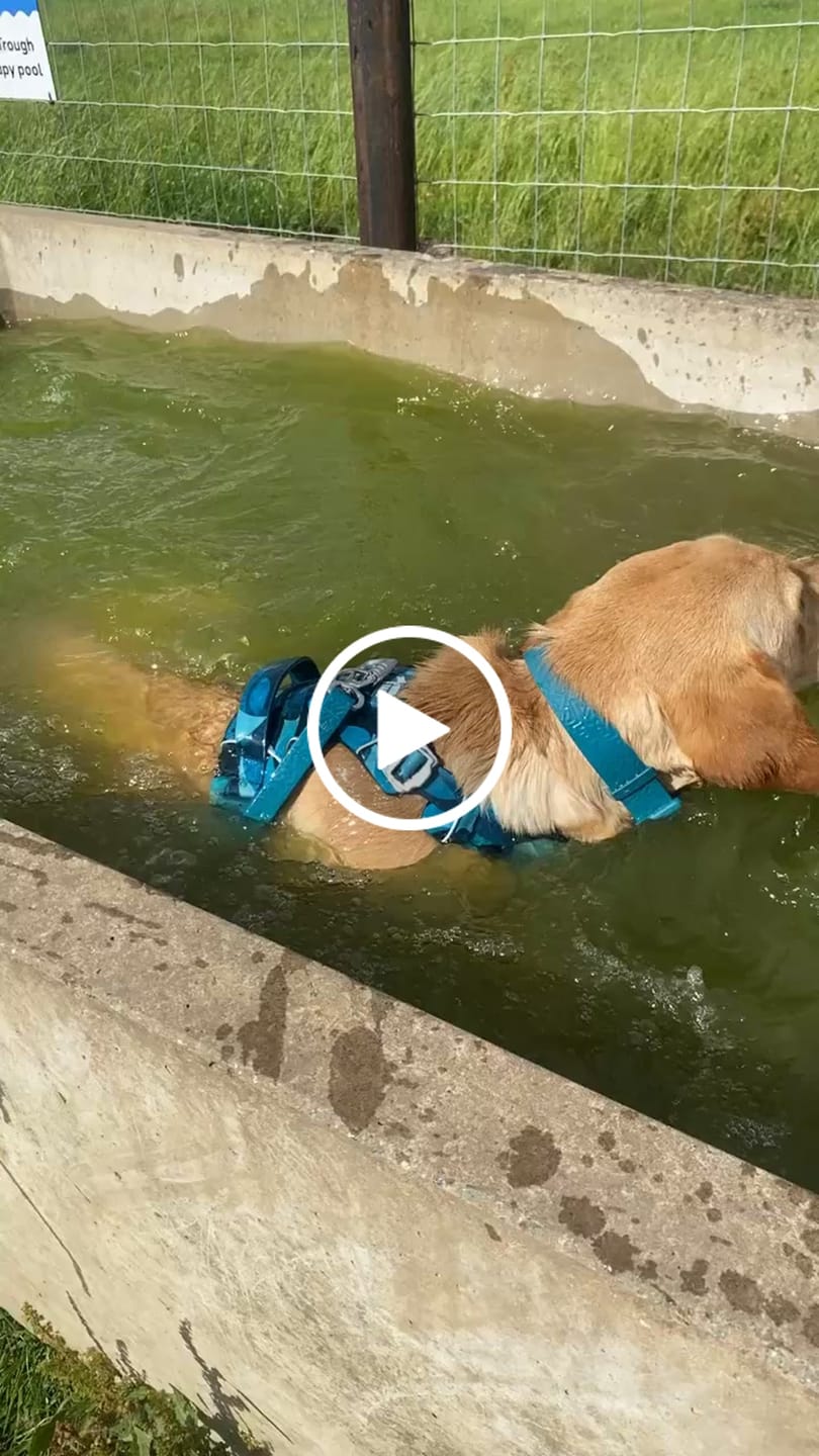Customer video review of Tidal Waterproof Grab Handle