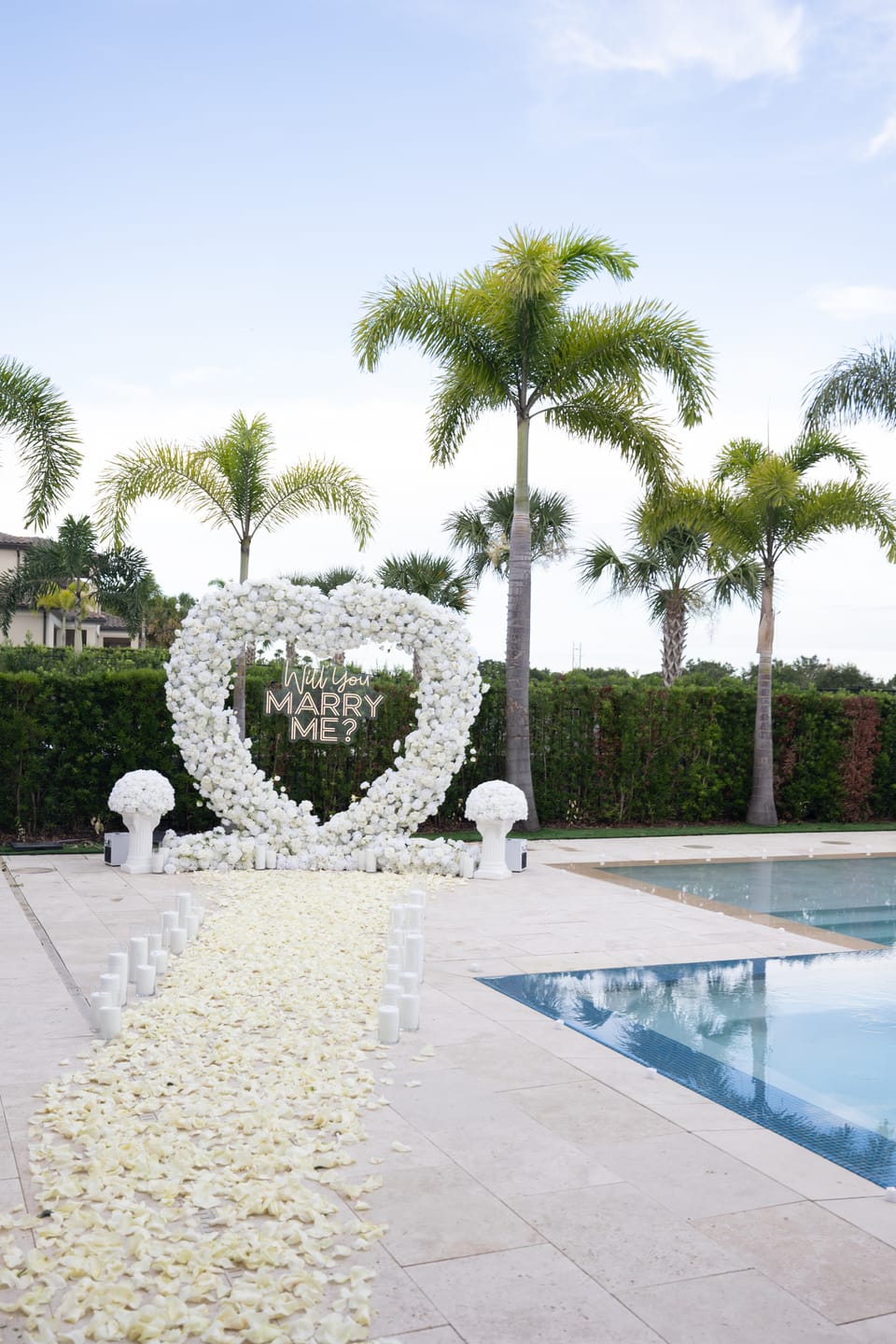 Customer photo review of White Rose Petals