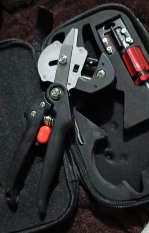 Customer photo review of GardenMate™ - Professional Grafting Tool