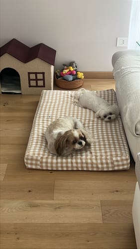 Customer photo review of Materassino Sfoderabile Quadretto Beige