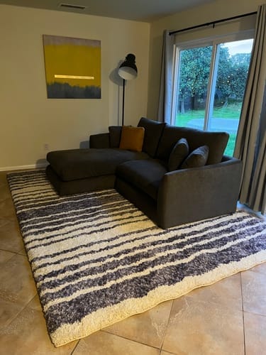 Customer photo review of Feathers Sectional