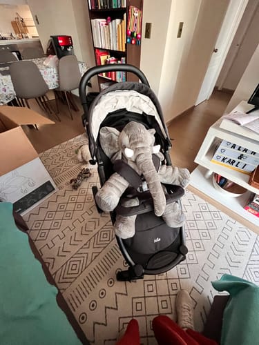 Customer photo review of Coche Travel System Litetrax 4 Coal Joie
